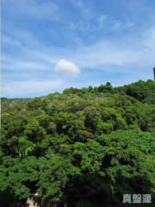 彩暉花園 A座 - 28NTS – 香港北部都會區