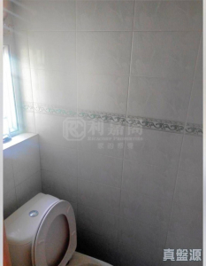 豪華閣 - 28NTS – 香港北部都會區