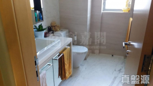 逸林首府 - 28NTS – 香港北部都會區