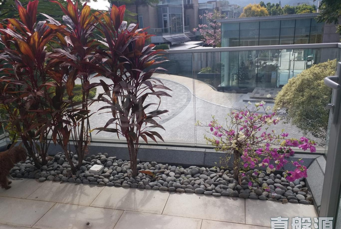 逸林首府 - 28NTS – 香港北部都會區