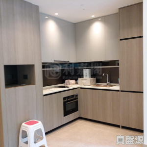 WETLAND SEASONS PARK 3期 1座 - 28NTS – 香港北部都會區