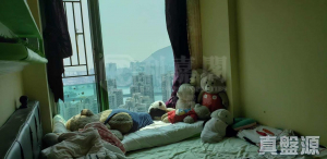 環宇海灣 2座 - 28NTS – 香港北部都會區