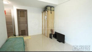 1763468637af449734-60c7-45be-bef7-a6770fc7d00b.jpeg 娉廷 - 28NTS – 香港北部都會區