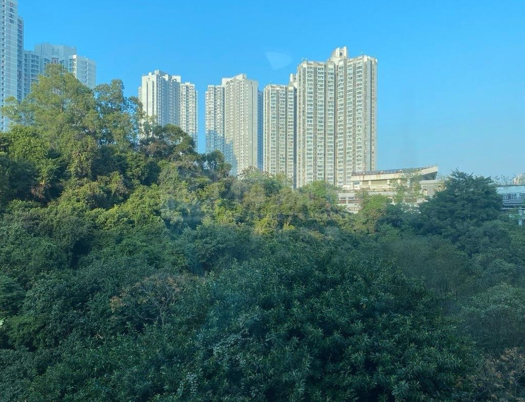 曉峰園 3座 - 28NTS – 香港北部都會區