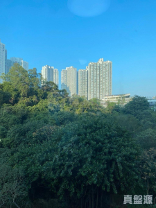 曉峰園 3座 - 28NTS – 香港北部都會區