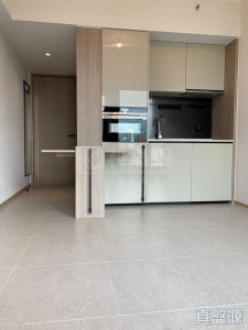 瑧頤 - 28NTS – 香港北部都會區