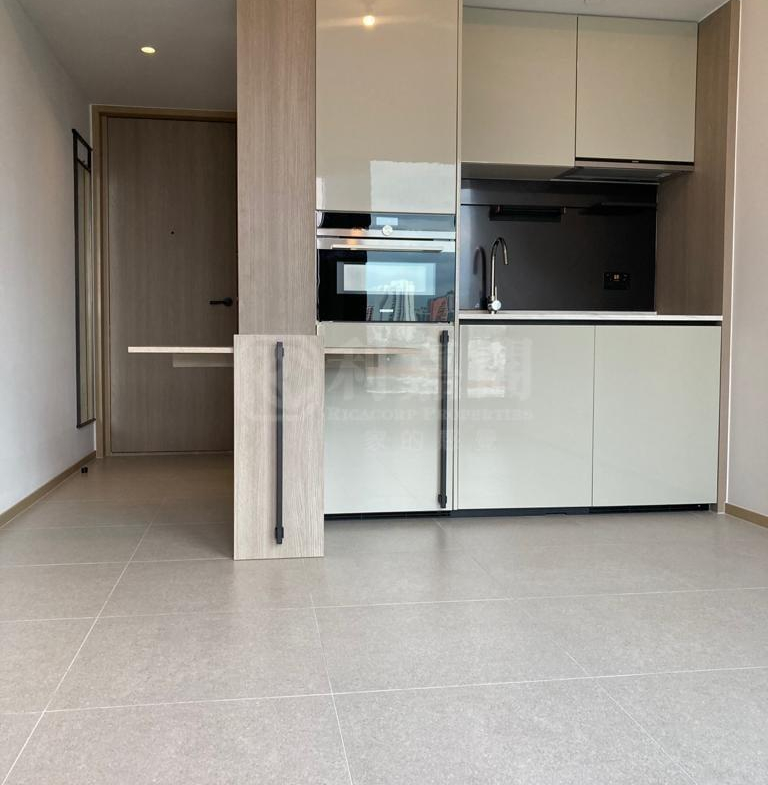 瑧頤 - 28NTS – 香港北部都會區