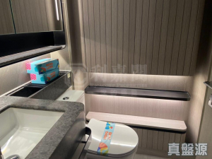 NOVO LAND 2A期 Arreso 3座 - 28NTS – 香港北部都會區