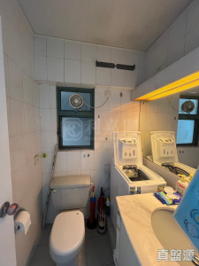 浪翠園 1期 1座 - 28NTS – 香港北部都會區