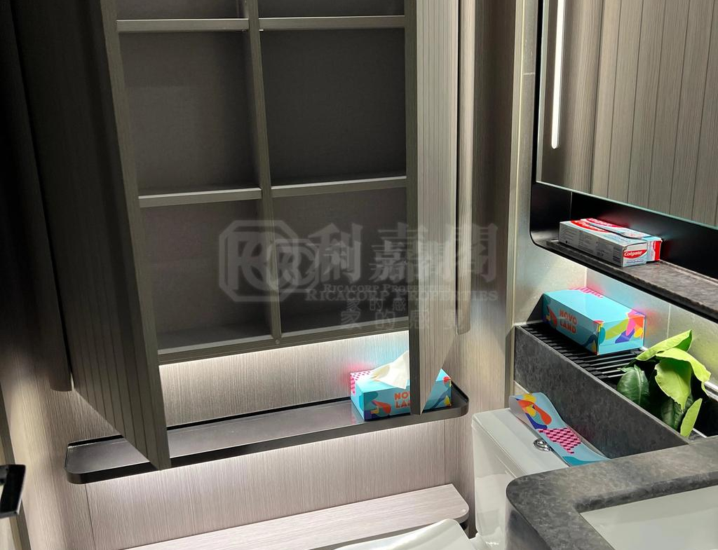 NOVO LAND 2B期 Arreso 1B座 - 28NTS – 香港北部都會區