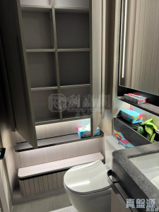 NOVO LAND 2B期 Arreso 1B座 - 28NTS – 香港北部都會區