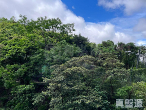 明翹匯 1A座 - 28NTS – 香港北部都會區