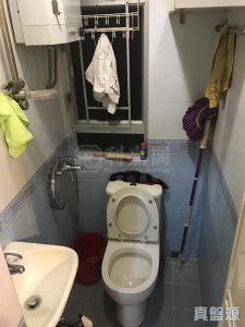 蘭苑 - 28NTS – 香港北部都會區