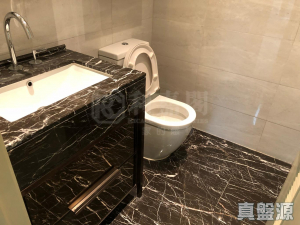 NAPA 5座 - 28NTS – 香港北部都會區