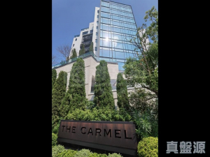 176347139050176780-d261-46ba-9a43-f7b3c20cb4ba.jpeg THE CARMEL 1座 - 28NTS – 香港北部都會區