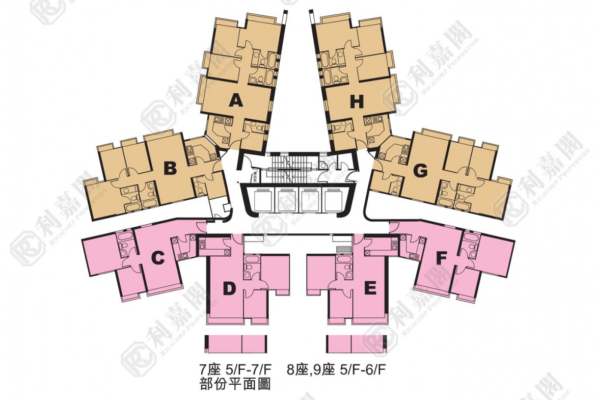 東堤灣畔 2期 7座 - 28NTS – 香港北部都會區