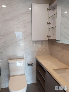 萬景峯 1座 - 28NTS – 香港北部都會區