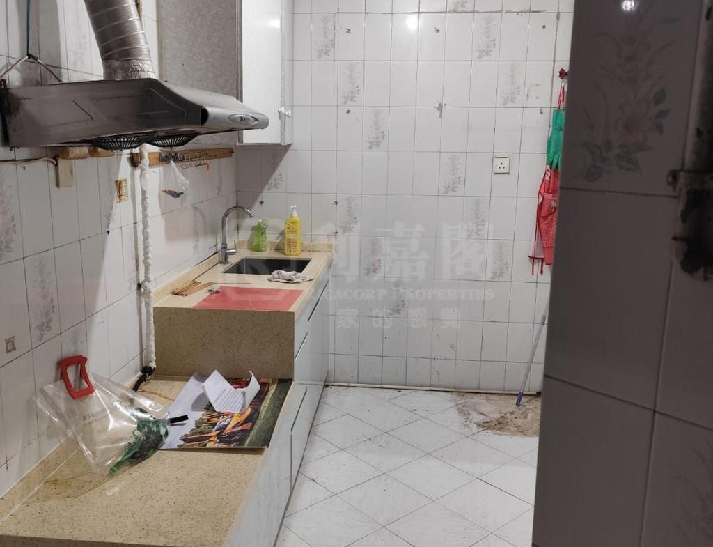 兆安苑 定海閣 (K座) - 28NTS – 香港北部都會區