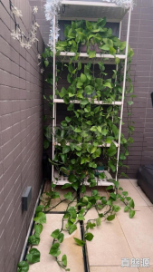 WETLAND SEASONS PARK 3期 7座 - 28NTS – 香港北部都會區