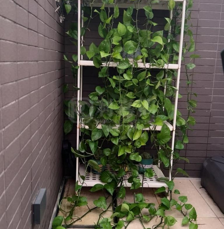 WETLAND SEASONS PARK 3期 7座 - 28NTS – 香港北部都會區