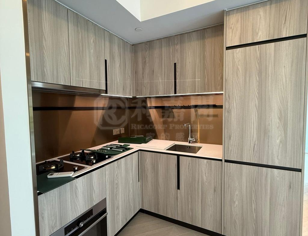 滙都 2期 滙都 II 6座 - 28NTS – 香港北部都會區