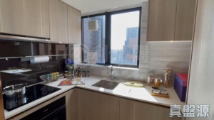 映御 2座 - 28NTS – 香港北部都會區