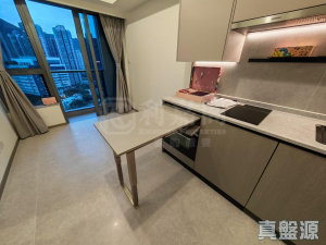 NOVO LAND 3A期 Dragor 1座 - 28NTS – 香港北部都會區