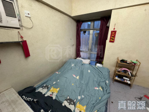 盈豐園 1座 - 28NTS – 香港北部都會區