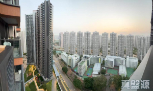 YOHO WEST 1期 2B座 - 28NTS – 香港北部都會區