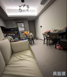 YOHO WEST 1期 2B座 - 28NTS – 香港北部都會區