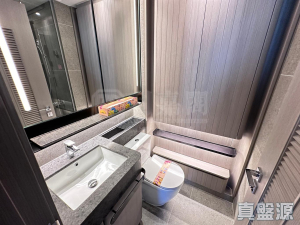 NOVO LAND 3A期 Dragor 1座 - 28NTS – 香港北部都會區