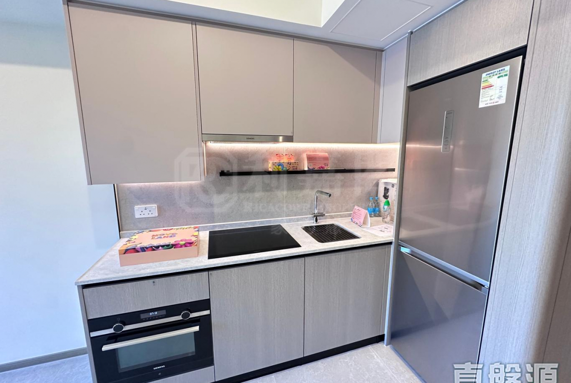 NOVO LAND 3A期 Dragor 1座 - 28NTS – 香港北部都會區