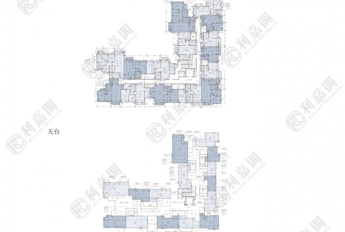 柏巒 2期 柏逸 1座 - 28NTS – 香港北部都會區