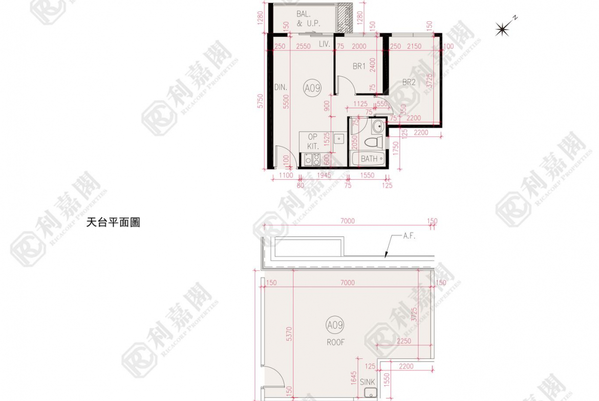 滙都 2期 滙都 II 6座 - 28NTS – 香港北部都會區