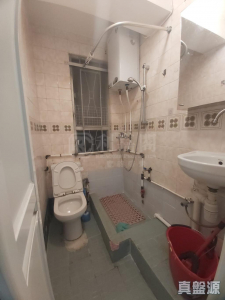 好旺洋樓 - 28NTS – 香港北部都會區