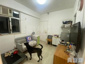 昌盛大廈 - 28NTS – 香港北部都會區