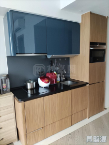 17634778248f2ce0e9-1c95-4f17-9210-709486e2efd6.jpeg 柏傲灣 2B座 - 28NTS – 香港北部都會區