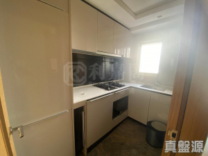 東環 2期 1B座 - 28NTS – 香港北部都會區