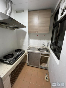 祈德尊新邨 B座 - 28NTS – 香港北部都會區