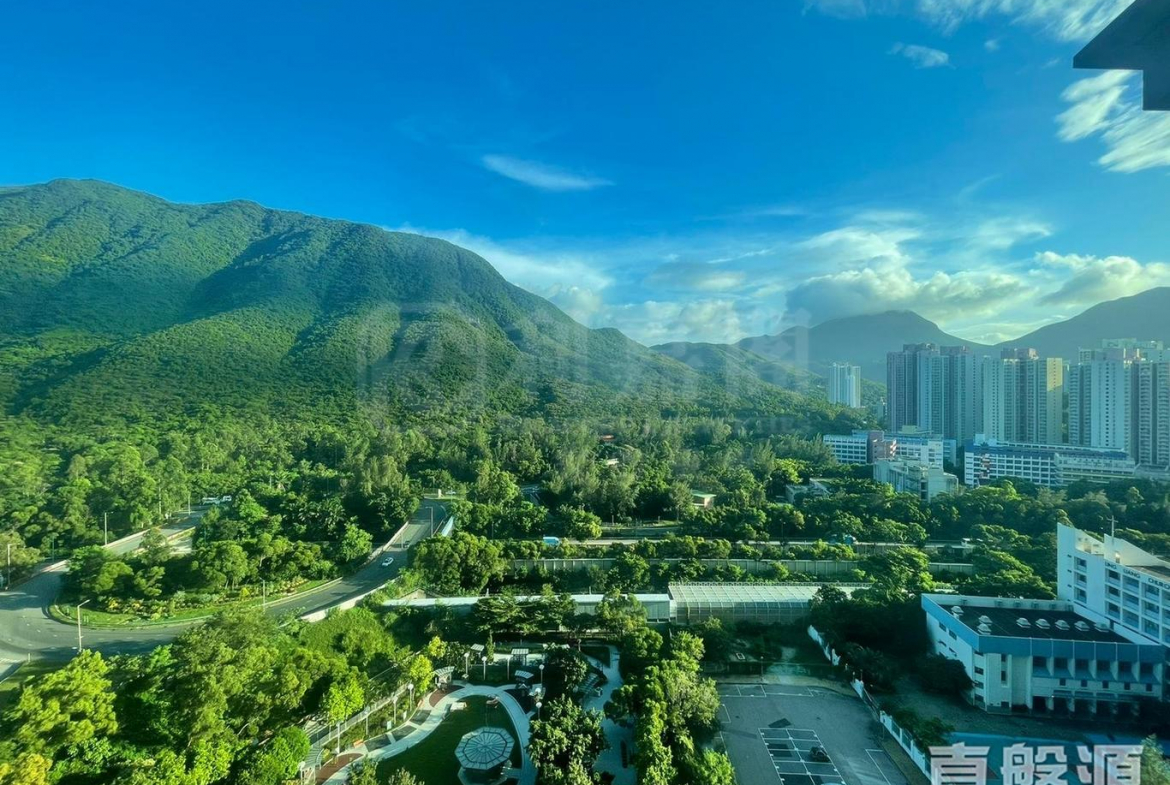 藍天海岸 1期 2座 - 28NTS – 香港北部都會區