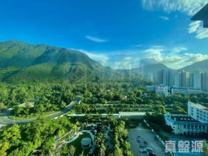 17634782739f78d044-6859-4504-b571-ef48659f6286.jpeg 藍天海岸 1期 2座 - 28NTS – 香港北部都會區