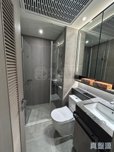 NOVO LAND 3A期 Dragor 2座 - 28NTS – 香港北部都會區