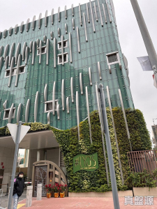 #LYOS 複式D座 - 28NTS – 香港北部都會區