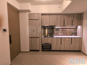 滙都 2期 滙都 II 6座 - 28NTS – 香港北部都會區