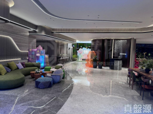 YOHO WEST 1期 3B座 - 28NTS – 香港北部都會區