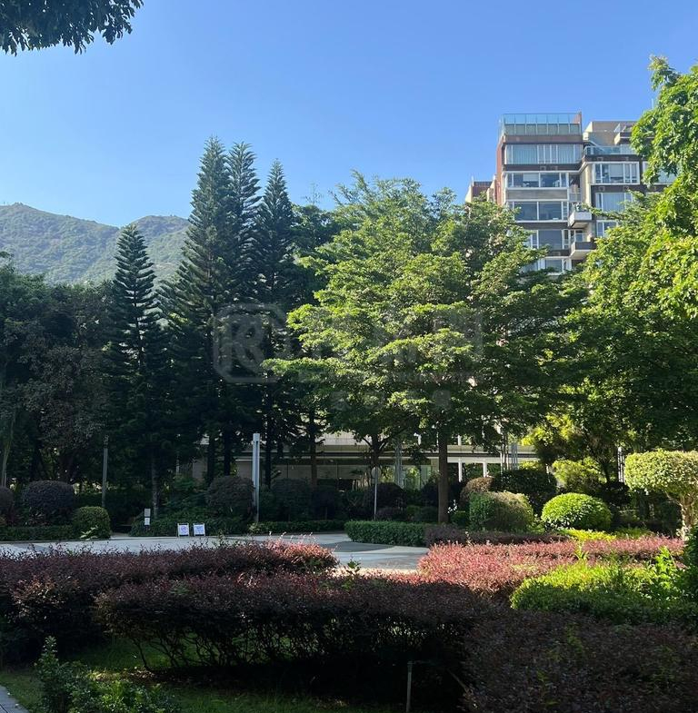 星堤 - 28NTS – 香港北部都會區