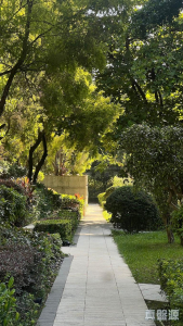 星堤 - 28NTS – 香港北部都會區