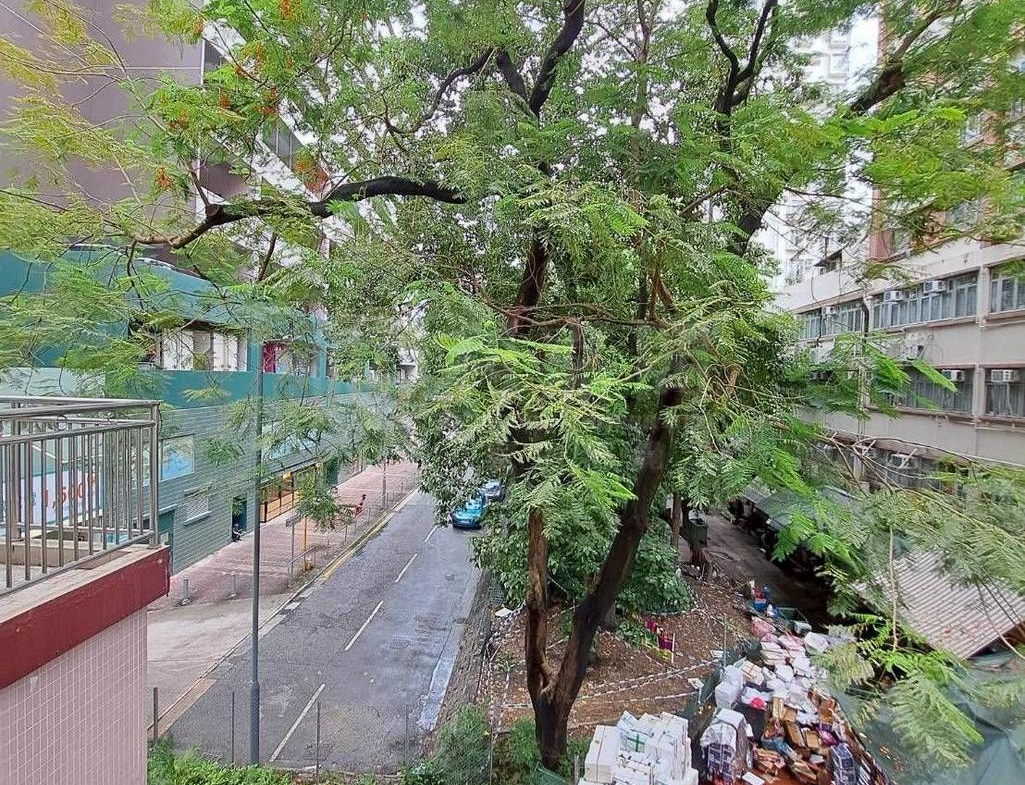 金源大廈 - 28NTS – 香港北部都會區