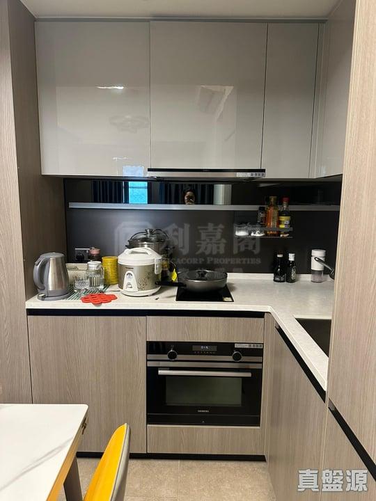 WETLAND SEASONS PARK 2期 18座 - 28NTS – 香港北部都會區