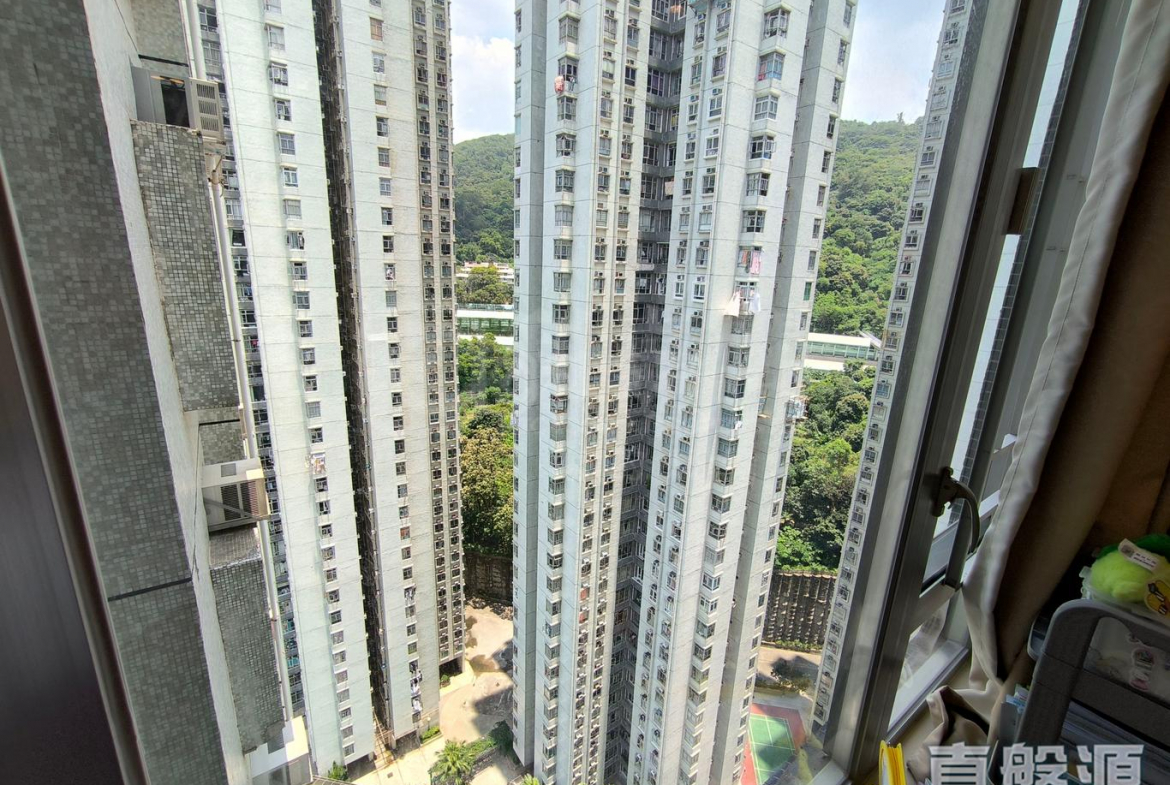 麗城花園 2期 1座 - 28NTS – 香港北部都會區